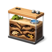 Ant Farm 3D icon
