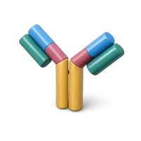 Antibody 3D icon