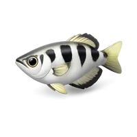 Archerfish 3D icon