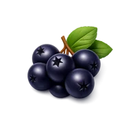 Aronia Berry 3D icon