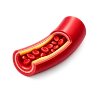 Artery 3D icon