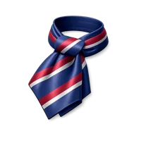 Ascot Tie 3D icon