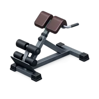 Back Extension Bench 3D icon