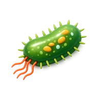 Bacteria 3D icon