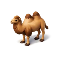 Bactrian Camel 3D icon