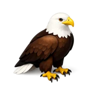 Bald Eagle 3D icon