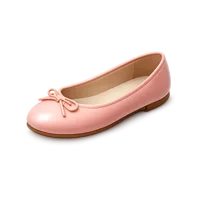 Ballet Flats 3D icon