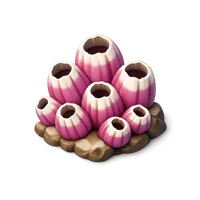 Barnacles 3D icon