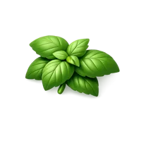 Basil 3D icon