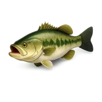 Bass Fish 3D icon