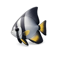 Batfish 3D icon