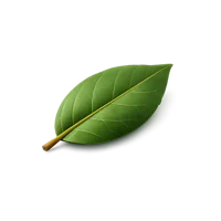Bay Leaf 3D icon