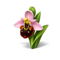 Bee Orchid 3D icon