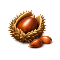 Beech Nut 3D icon