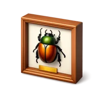 Beetle Display 3D icon