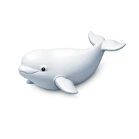 Beluga Whale 3D icon