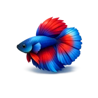 Blue Betta Fish 3D icon