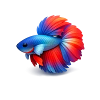 Betta Fish 3D icon