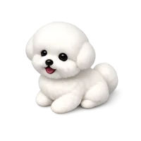 Bichon Frise 3D icon