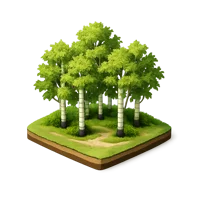 Birch Grove 3D icon