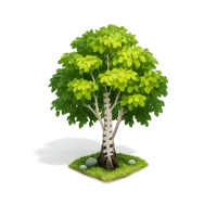 Birch Tree 3D icon