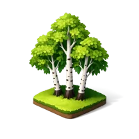 Birch Trees 3D icon