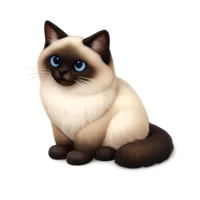 Birman Cat 3D icon
