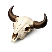 Bison Skull 3D icon