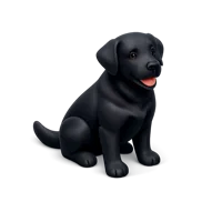 Black Labrador 3D icon