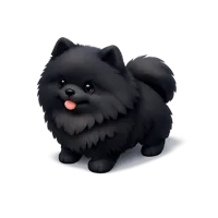 Black Pomeranian 3D icon