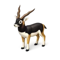 Blackbuck 3D icon