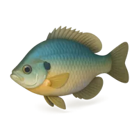 Blue Gill 3D icon