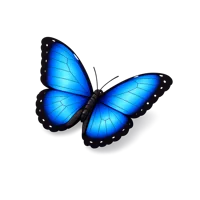 Blue Morpho Butterfly 3D icon