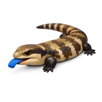 Blue Tongue Lizard 3D icon