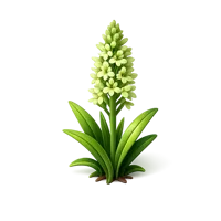 Bog Orchid 3D icon