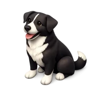 Borador 3D icon