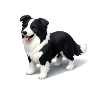 Border Collie 3D icon
