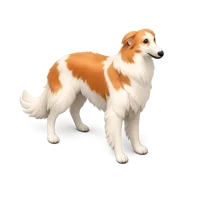 Borzoi 3D icon
