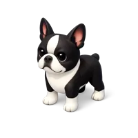 Boston Terrier 3D icon