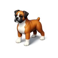 Boxer 3D icon