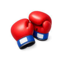 Boxing 3D icon