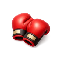 Boxing Gloves 3D icon