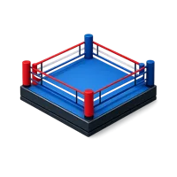 Boxing Ring 3D icon