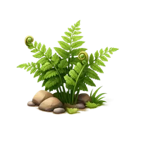 Bracken Fern 3D icon