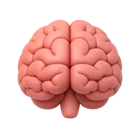 Brain 3D icon