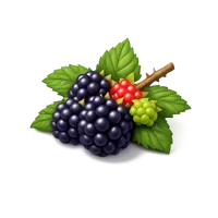 Bramble 3D icon
