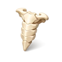 Breastbone 3D icon
