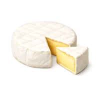 Brie Cheese 3D icon
