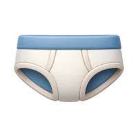Briefs 3D icon