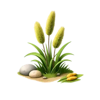 Bristlegrass 3D icon